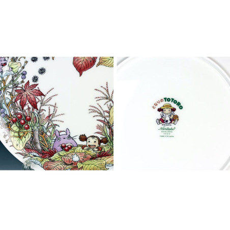 ASSIETTE 23 CM TOTORO BAIES - MON VOISIN TORORO
