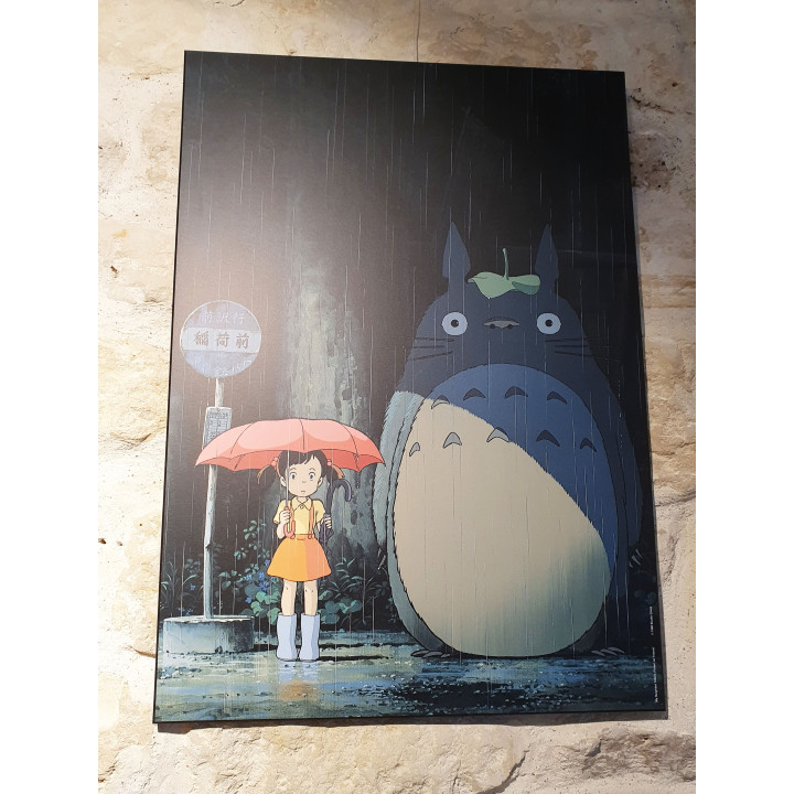 TABLEAU 35 X 50 GHIBLI - MON VOISIN TOTORO 