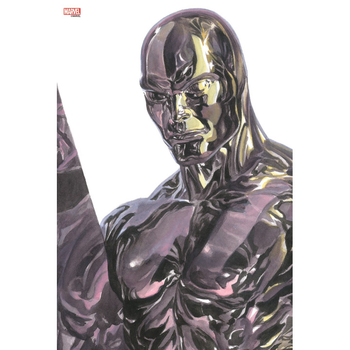 Tableau Marvel Heroes - Alex Ross - Silver Surfer - 30x45cm