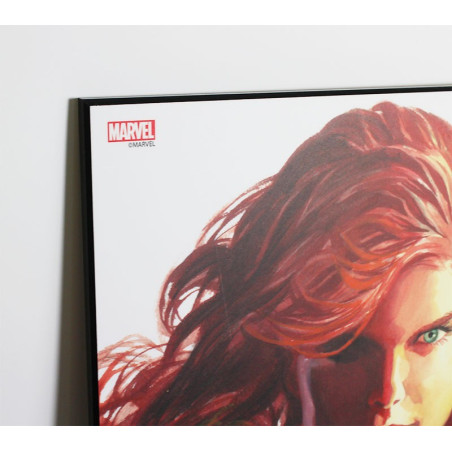 Laminage Marvel Heroes - Alex Ross - Phoenix - 30x45cm