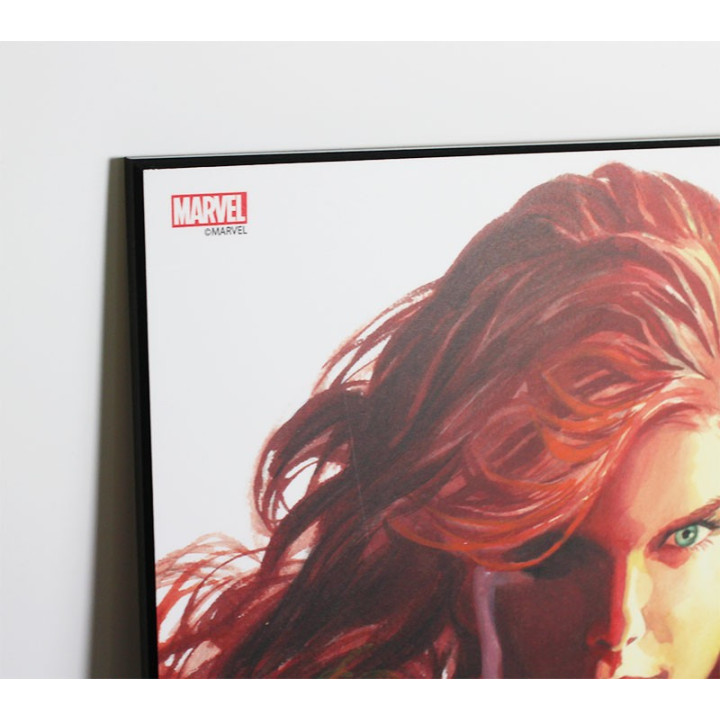 Laminage Marvel Heroes - Alex Ross - Phoenix - 30x45cm