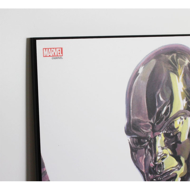 Tableau Marvel Heroes - Alex Ross - Silver Surfer - 30x45cm