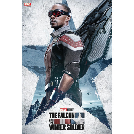 Tableau Falcon and the Winter Soldier - The Falcon 33.7 x 50cm