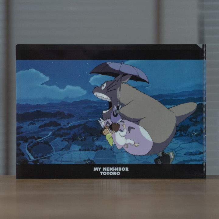 Chemise A4 Promenade noctune - Mon Voisin Totoro