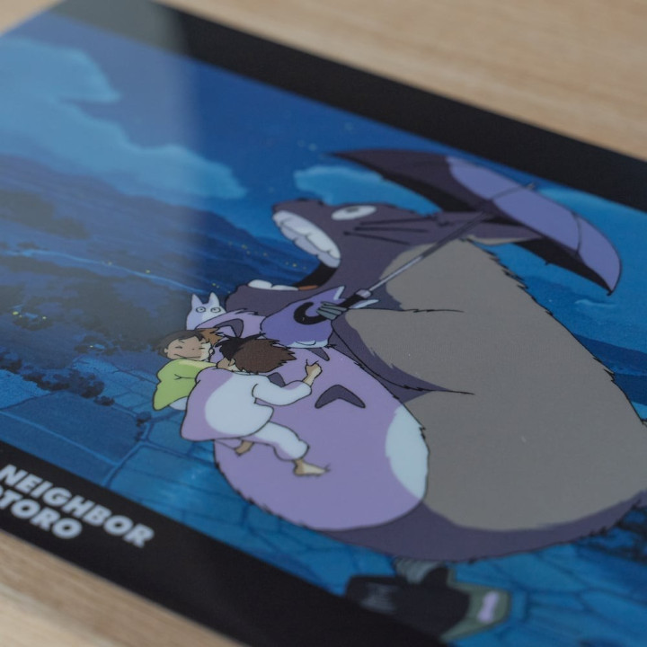 Chemise A4 Promenade noctune - Mon Voisin Totoro