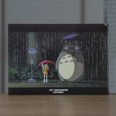 Chemise A4 Drôle de rencontre - Mon Voisin Totoro