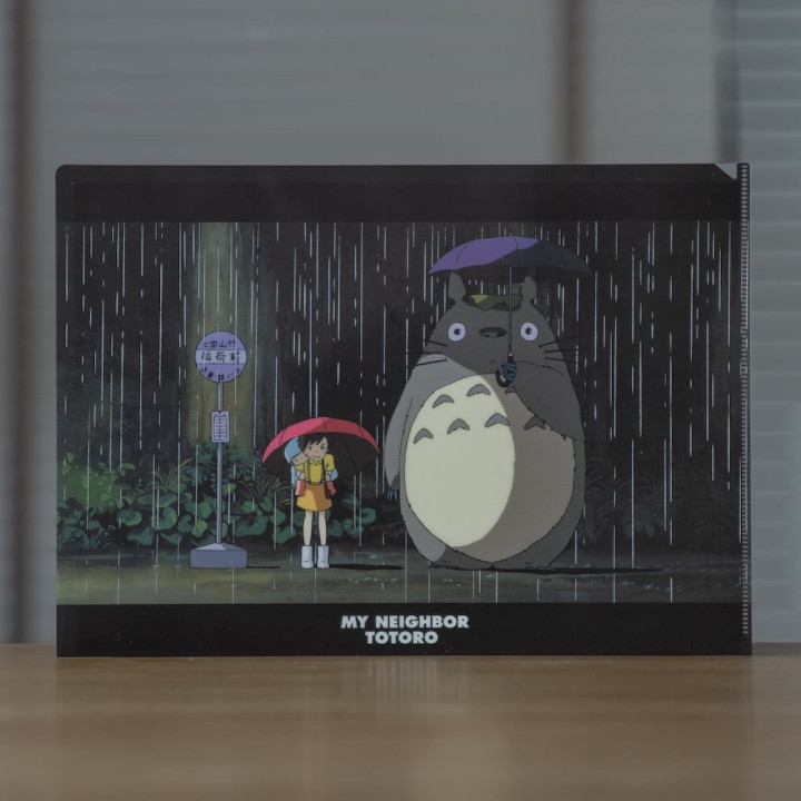 Chemise A4 Drôle de rencontre - Mon Voisin Totoro