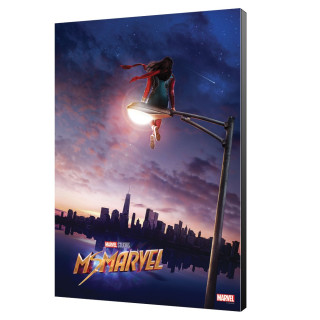 Tableau Marvel - Ms.Marvel 01 - New jersey