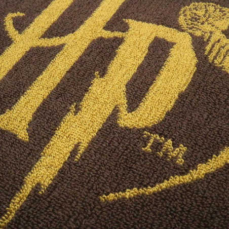 Mini Serviette Logo Harry Potter 25x25 cm - Harry Potter
