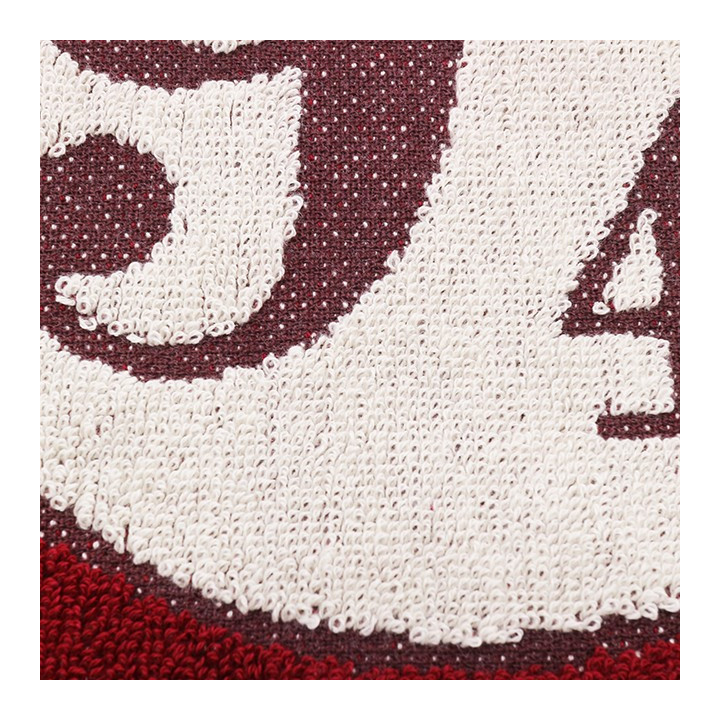 Mini Serviette Voie 9¾ 25x25 cm - Harry Potter