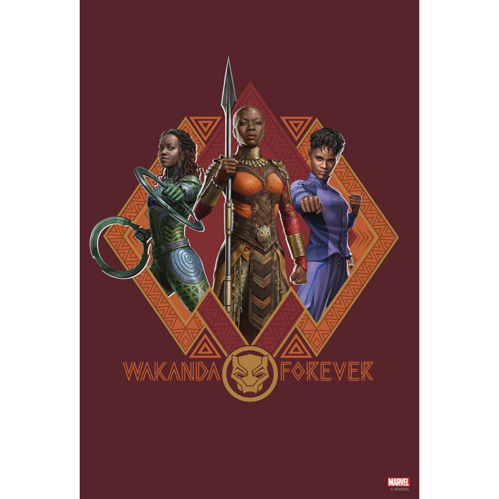 Tableau Wakanda Forever 02 - Nakia Okoye Shuri