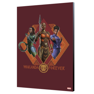 Tableau Wakanda Forever 02 - Nakia Okoye Shuri