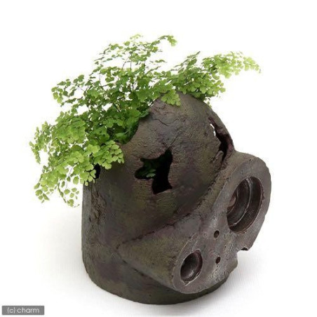 Planter Casque Robot - Le Château Dans Le Ciel