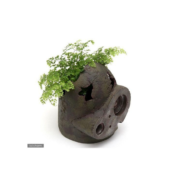 Planter Casque Robot - Le Château Dans Le Ciel