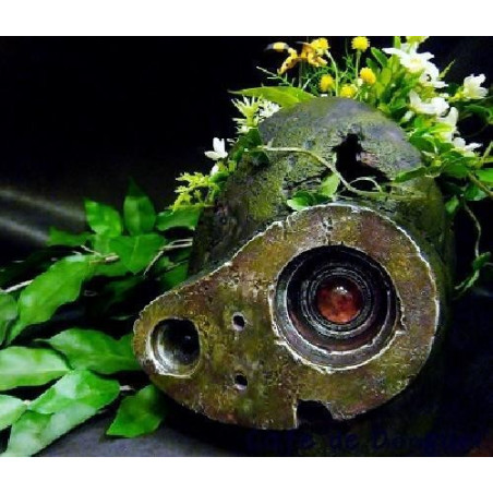 Planter Casque Robot - Le Château Dans Le Ciel