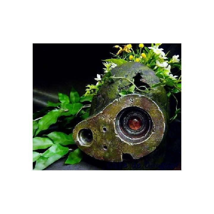 Planter Casque Robot - Le Château Dans Le Ciel