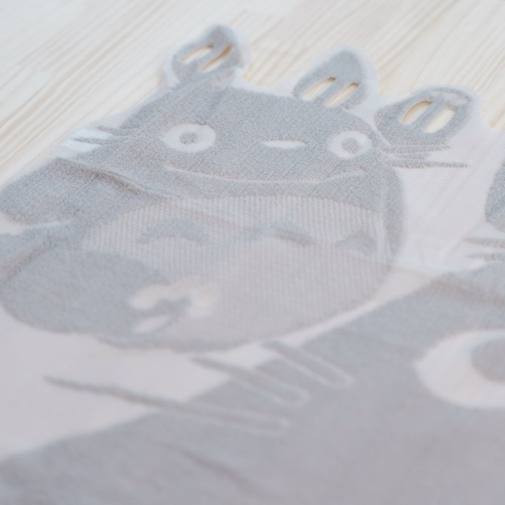 Transparent Japanese Curtain Totoro - My Neighbor Totoro