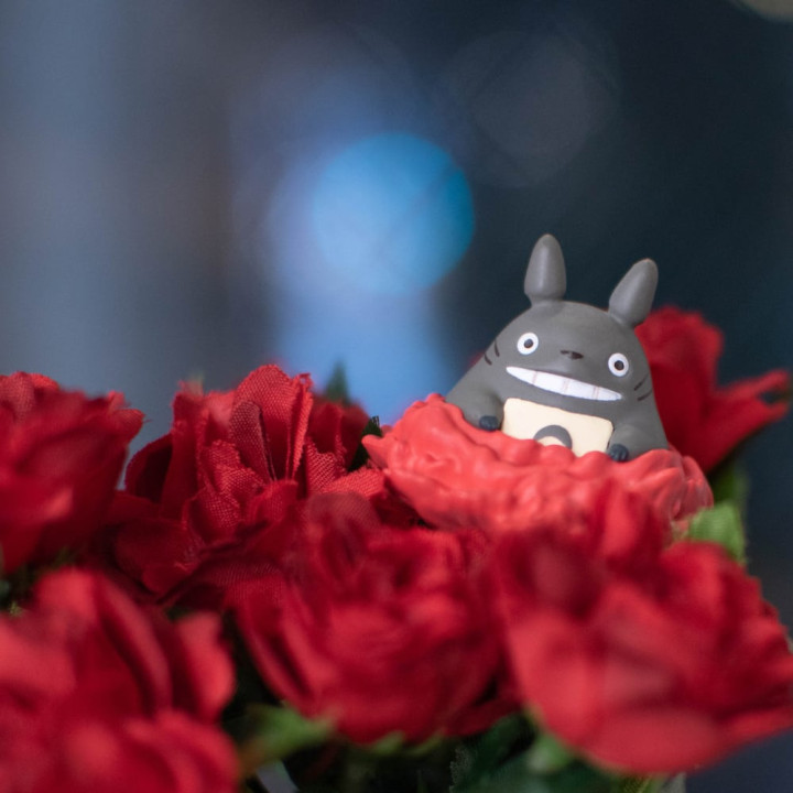 Décoration Œillet Totoro - Mon Voisin Totoro