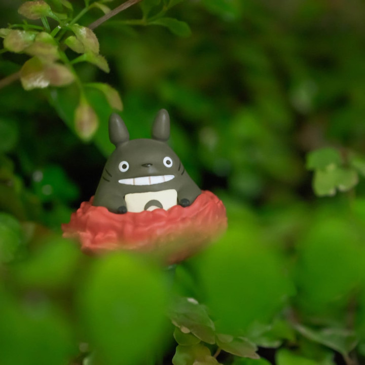 Décoration Œillet Totoro - Mon Voisin Totoro
