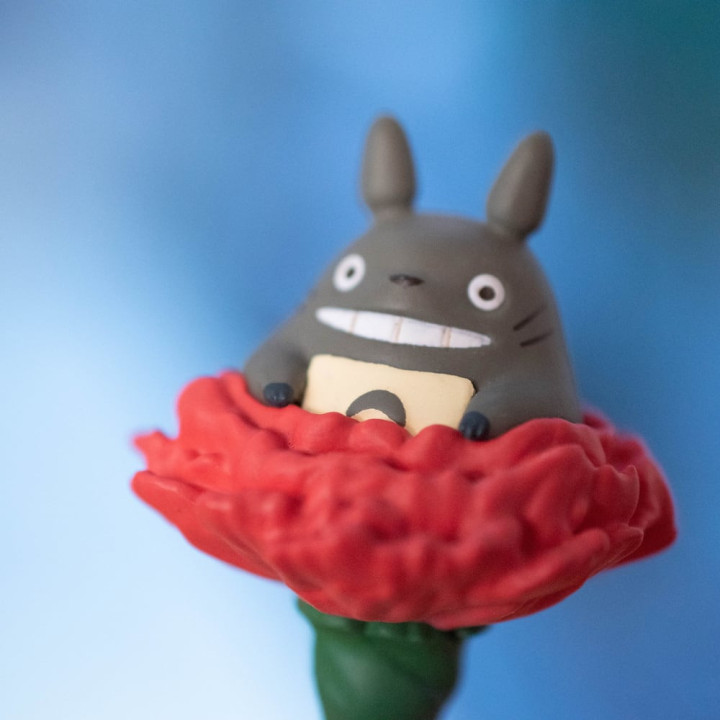 Décoration Œillet Totoro - Mon Voisin Totoro