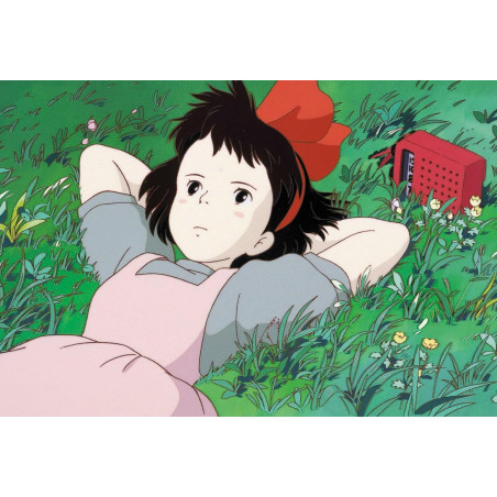 Coffret 100 cartes postales de collection série 2 - Studio Ghibli