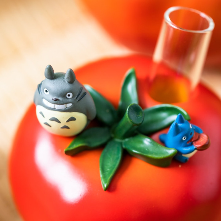 Soliflore Tomate - Mon Voisin Totoro