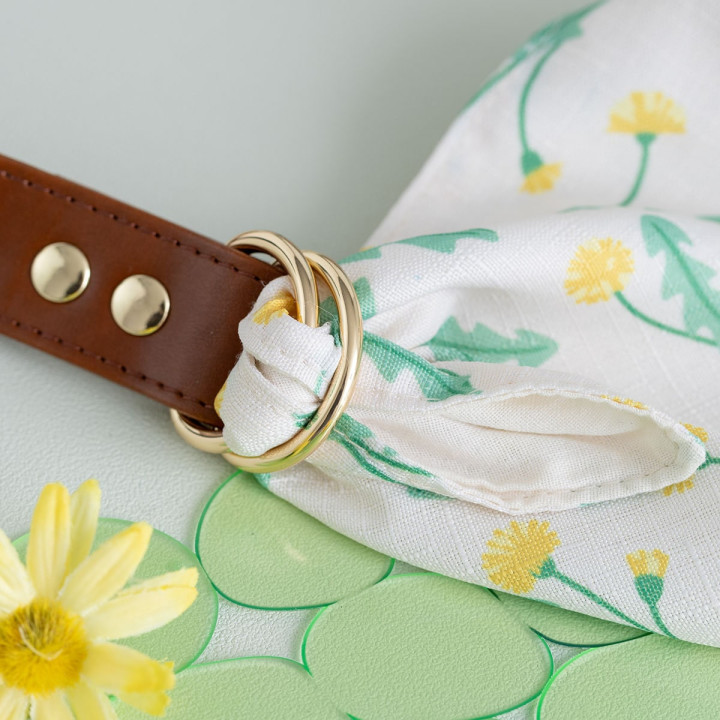 Totoro Cloth bag with Dandelion embroidery - My Neighbor Totoro