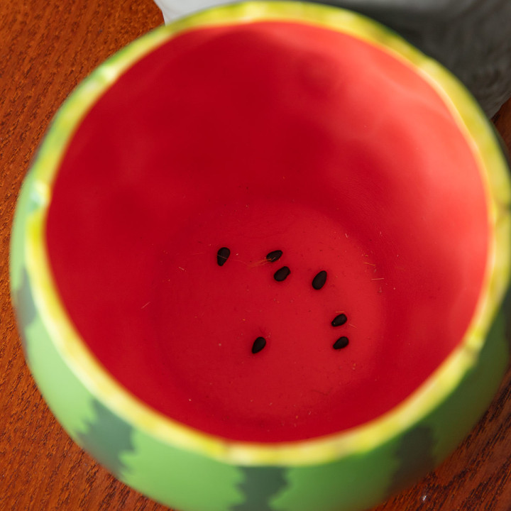 Planter Totoro Pastèque - Mon Voisin Totoro