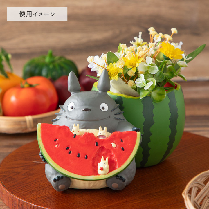 Planter Totoro Pastèque - Mon Voisin Totoro