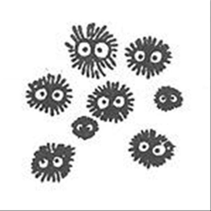 Tampon Noiraudes - Mon Voisin Totoro