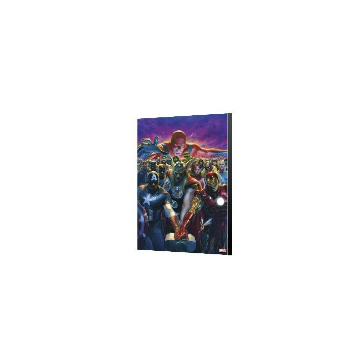 AVENGERS COLLECTION - AVENGERS 10 - ALEX ROSS - 40X60