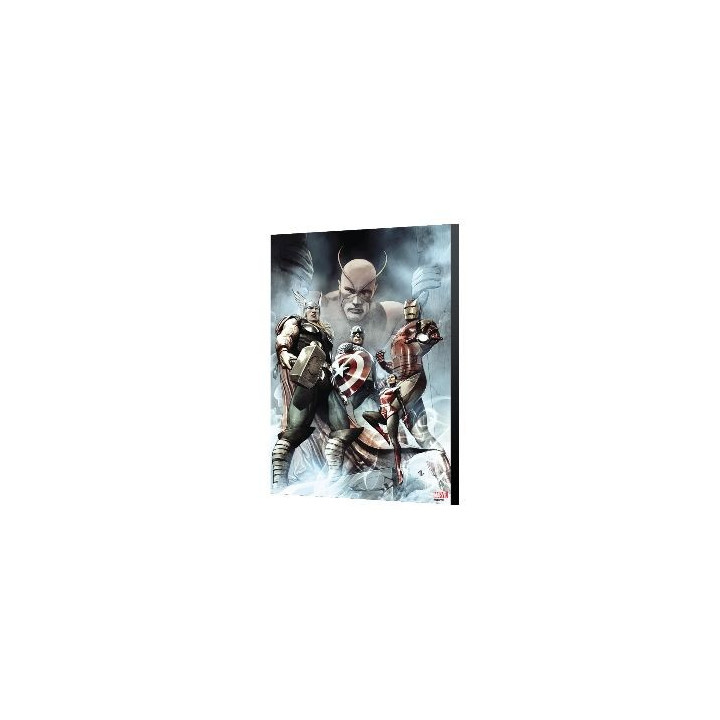 AVENGERS COLLECTION -CAPTAIN AMERICA: HAIL HYDRA 2 - ADI GRANOV 40X60