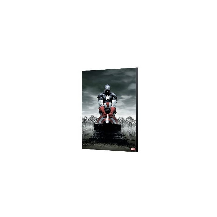 AVENGERS COLLECTION - CAPTAIN AMERICA 4 - STEVE EPTING 40X60