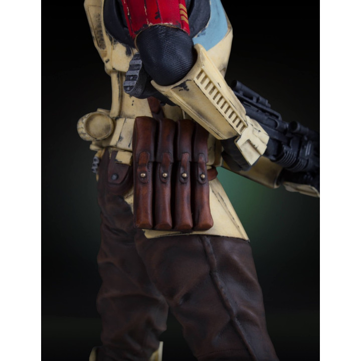 SHORETROOPER COLLECTOR GALLERY STATUE